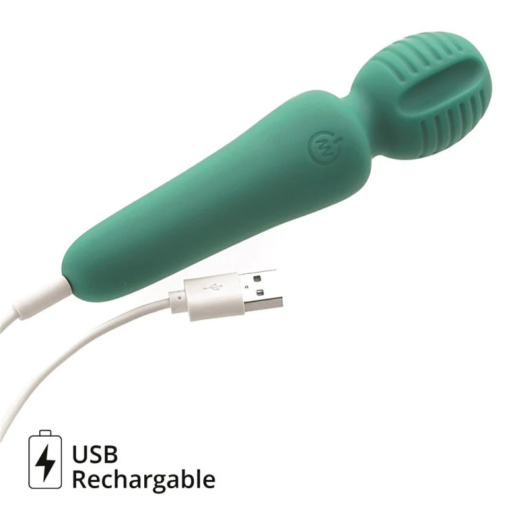 Eve's Petite Private Pleasure Wand Massager Eve's Petite Private Pleasure Wand Massager