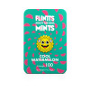 Flintts Mints Cool Watermelon - F Strength 100 Flintts Mints Cool Watermelon - F Strength 100