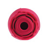 Eve's Ravishing Suction Rose Vibrating Clitoral Stimulator Eve's Ravishing Suction Rose Vibrating Clitoral Stimulator