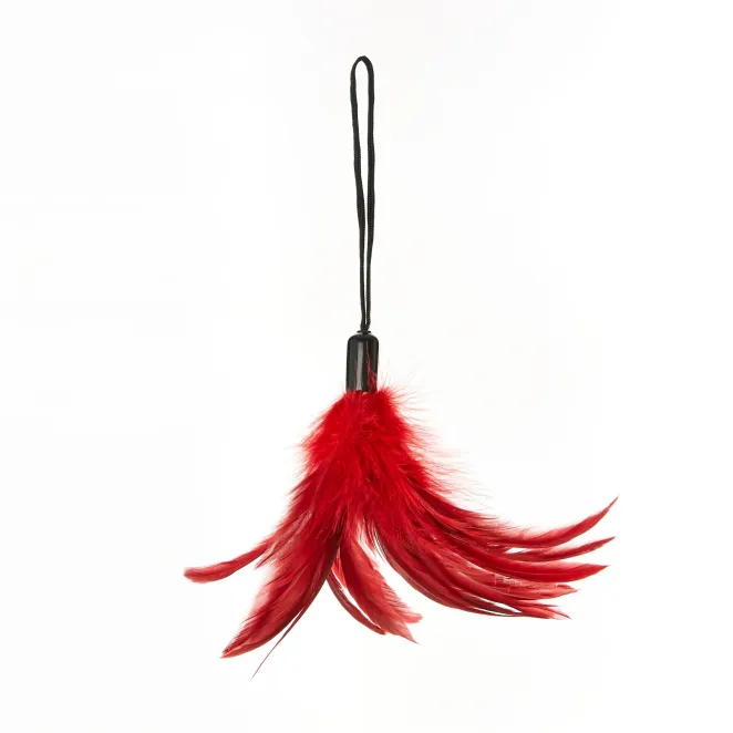 Pleasure Feather Tickler Red