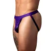 Male Power Eggplant Crossover Jock Plum