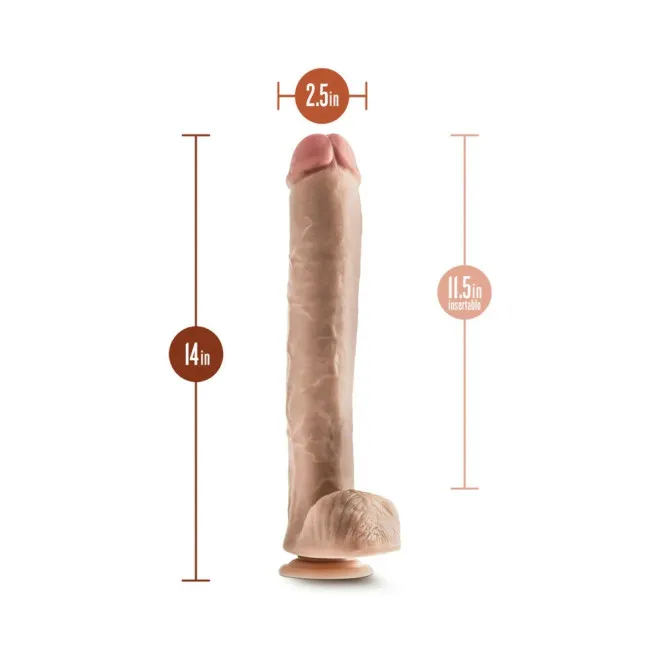 12 Inch Hung Rider Bruno Large Realistic Suction Cup Dildo