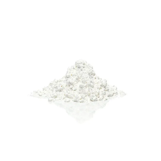Clone-A-Willy and Clone-A-Pussy Molding Powder (1 Bag)
