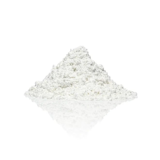 Clone-A-Willy and Clone-A-Pussy Molding Powder (1 Bag)