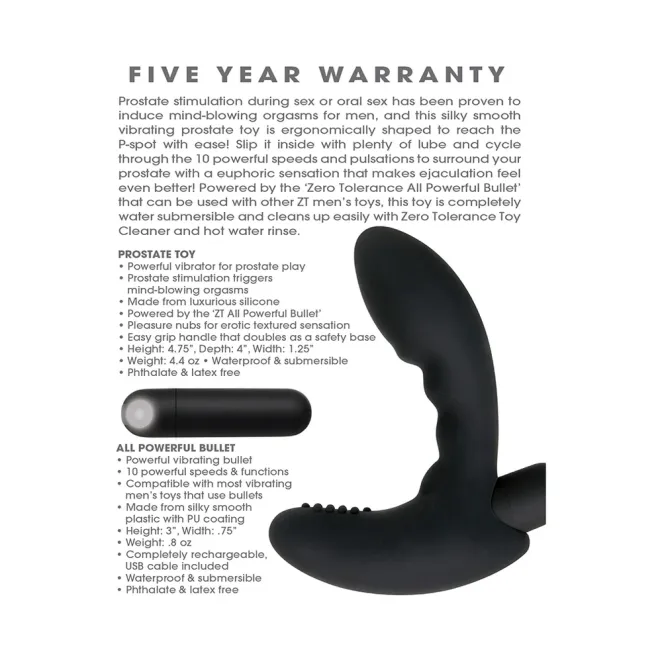 Eternal P-Spot Vibrating Prostate Massager