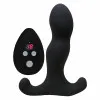 Aneros Vice 2 Vibrating Prostate Stimulator with Remote Aneros Vice 2 Vibrating Prostate Stimulator with Remote