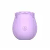 InBloom Rosales Sucking Rose Clit Vibrator