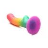 6 Inch Ribbed Silicone Dildo with Suction Cup Rainbow