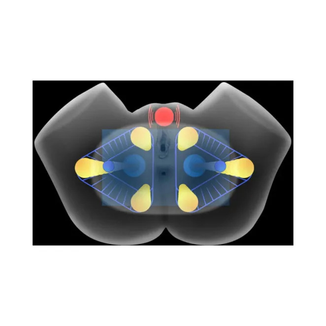 Mistress Vibrating & Squeezing Pussy & Ass Masturbator