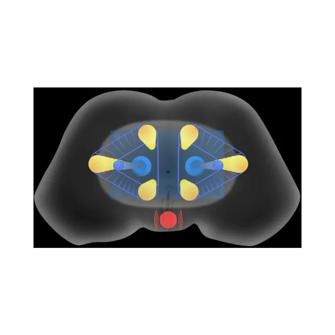 Mistress Vibrating & Squeezing Pussy & Ass Masturbator