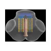 Mistress Vibrating & Squeezing Pussy & Ass Masturbator Mistress Vibrating & Squeezing Pussy & Ass Masturbator