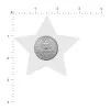 Pastease Glitter Star Pasties Black (86980) | SlipDix.com