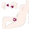 Alvina Luxury Tongue Licking Clitoral Vibrator Alvina Luxury Tongue Licking Clitoral Vibrator