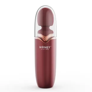 Stormi Powerful Wand Massager with Charging Case