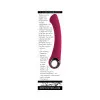 Evolved Pleasure Curve G Spot Vibrator Burgundy Evolved Pleasure Curve G Spot Vibrator Burgundy