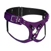 Strap U Bodice Deluxe Leather Corset Strap-On Harness Purple