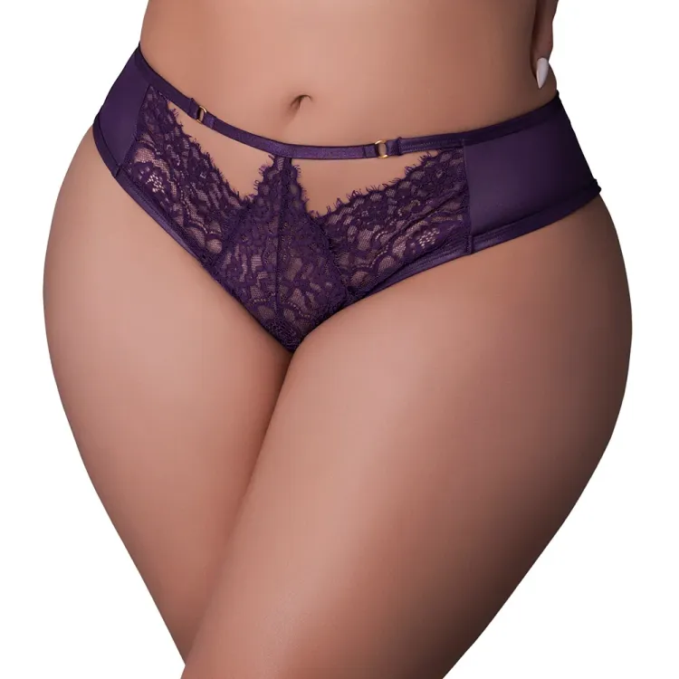 Magic Silk Leather & Lace Lace Cheeky Hipster Plum