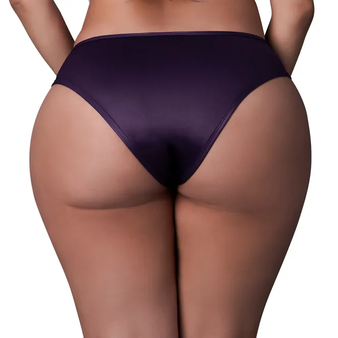 Magic Silk Leather & Lace Lace Cheeky Hipster Plum