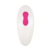 Dual Entry Vibe with Remote Pink Dual Entry Vibe with Remote Pink