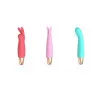 Playful Seduction Bullet Vibrator Kit Playful Seduction Bullet Vibrator Kit