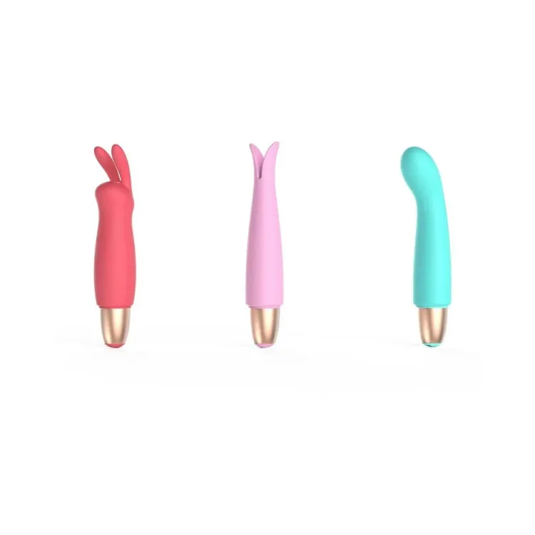 Playful Seduction Bullet Vibrator Kit Playful Seduction Bullet Vibrator Kit