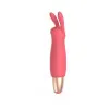 Playful Seduction Bullet Vibrator Kit Playful Seduction Bullet Vibrator Kit