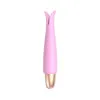 Playful Seduction Bullet Vibrator Kit Playful Seduction Bullet Vibrator Kit