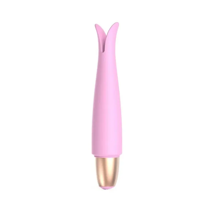 Playful Seduction Bullet Vibrator Kit Playful Seduction Bullet Vibrator Kit