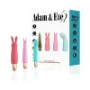 Playful Seduction Bullet Vibrator Kit Playful Seduction Bullet Vibrator Kit