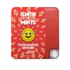 Flintts Mints Cinnamon Ginger - F Strength 300