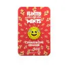 Flintts Mints Cinnamon Ginger - F Strength 300