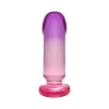 Sunset Dreams Anal Plug Training Kit