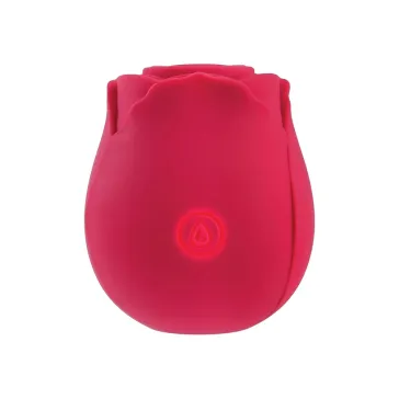 Eve's Ravishing Suction Rose