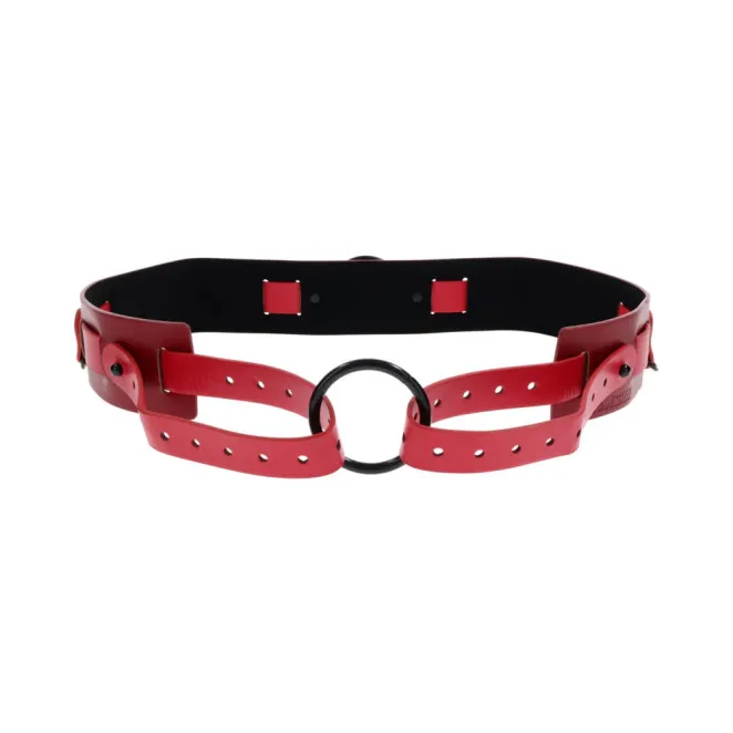 Ex's & Oh's Bound and Belted