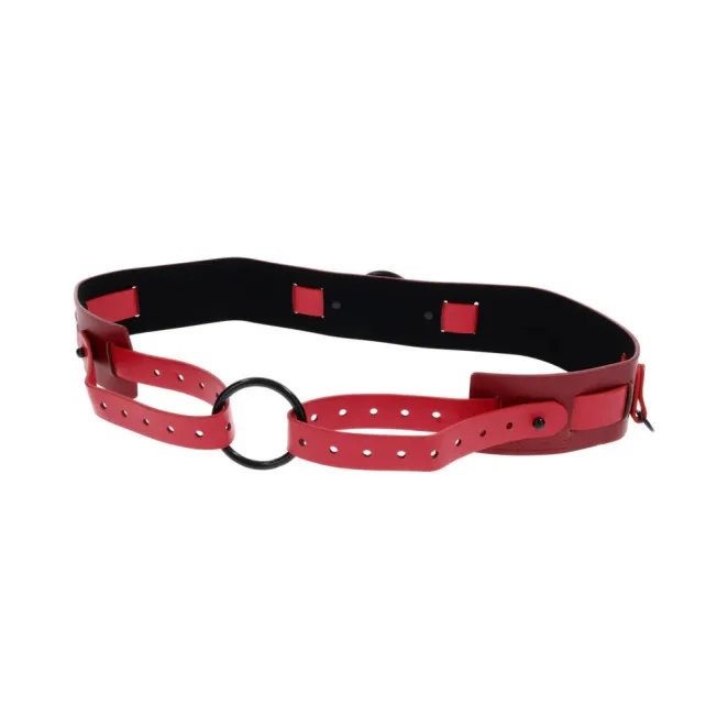 Ex's & Oh's Bound and Belted