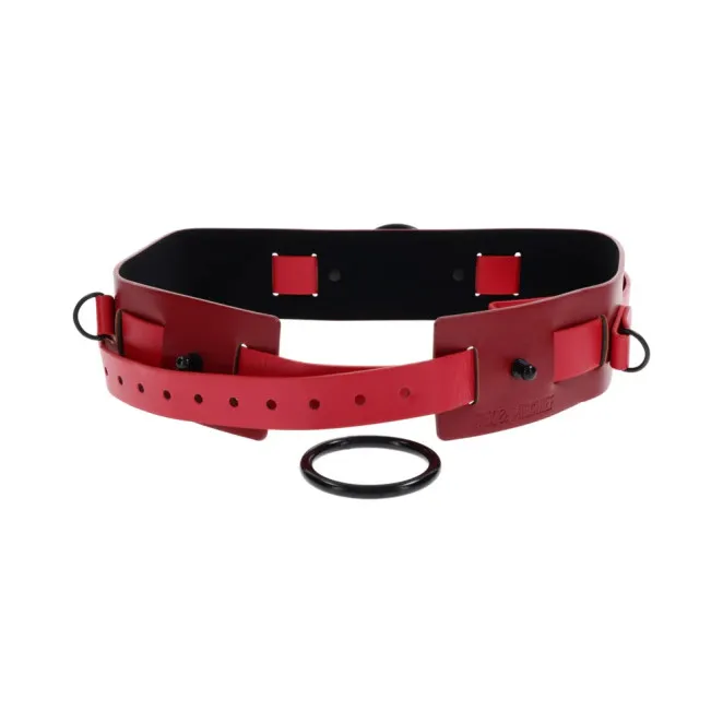 Ex's & Oh's Bound and Belted