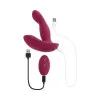 Evolved Come On Over Remote Controlled Come Hither Vibrator Burgundy Evolved Come On Over Remote Controlled Come Hither Vibrator Burgundy