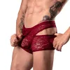 Male Power Lucifer Cutout Short Burgundy