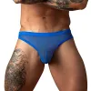 Male Power Fishnet 2.0 Bong Thong Royal