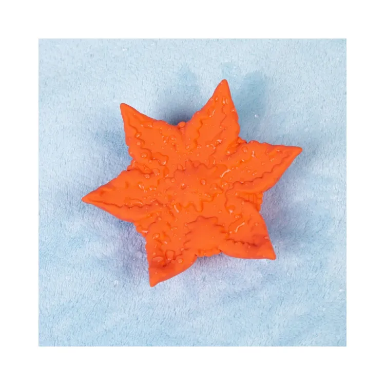 Cute Little Fuckers Starsi Coral Cute Little Fuckers Starsi Coral