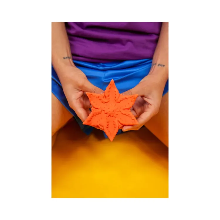 Cute Little Fuckers Starsi Coral Cute Little Fuckers Starsi Coral