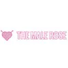 The Male Rose