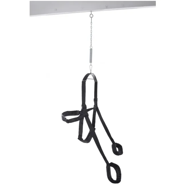 Fantasy Sex Swing Black