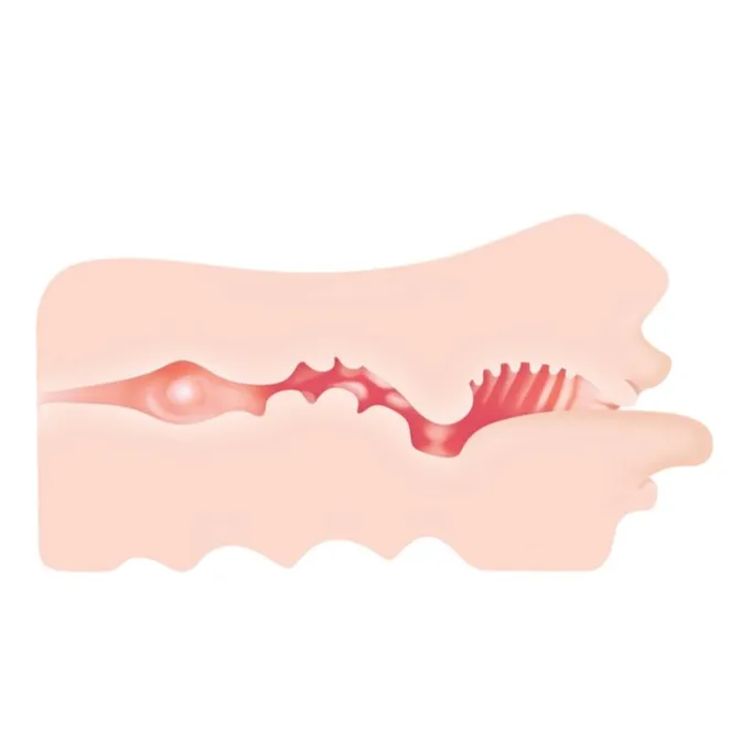 Realistic Mouth BJ Stroker