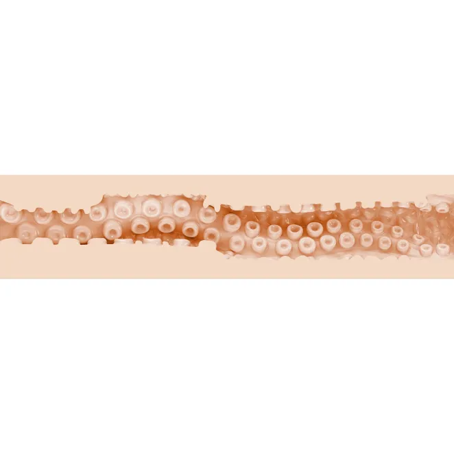 Fleshlight Fantasy Sasha Nakamoto Ecchi male masturbator textured sleeve