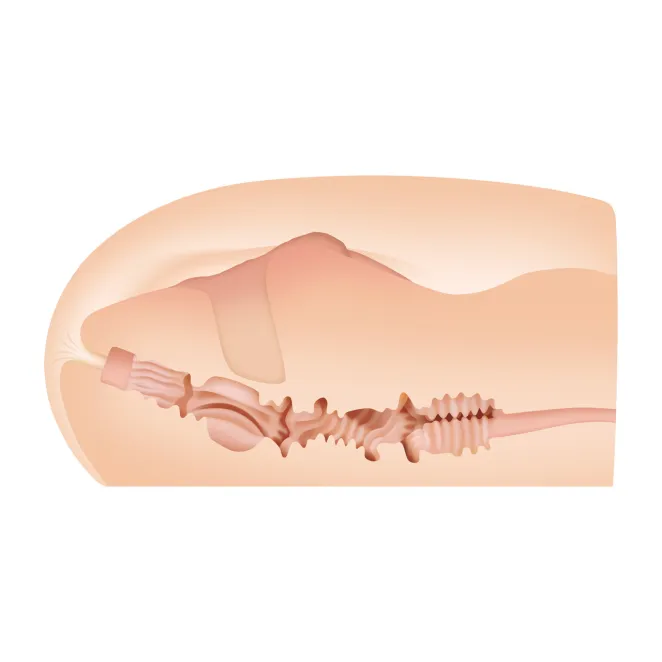 Sasha Grey Realistic Ass & Vagina Stroker