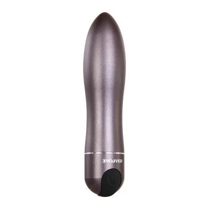 Metal Bullet Vibrator with Travel Case Gunmetal