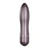 Metal Bullet Vibrator with Travel Case Gunmetal