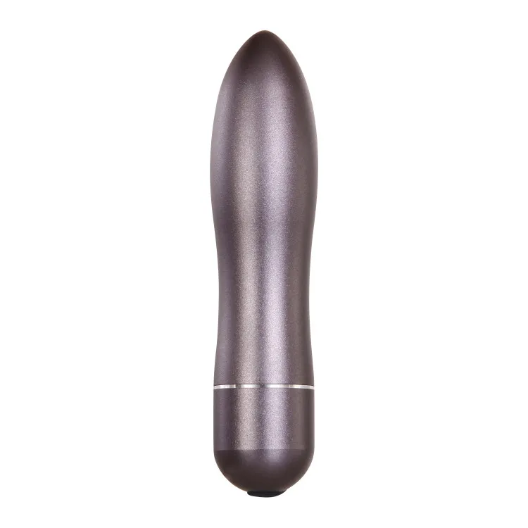 Metal Bullet Vibrator with Travel Case Gunmetal