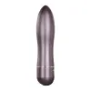 Metal Bullet Vibrator with Travel Case Gunmetal